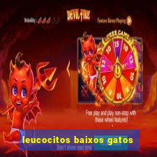 leucocitos baixos gatos